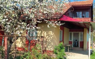 🏡 Casă cu livadă sat Prisăcani  - Teren 4500 mp - Poză 5