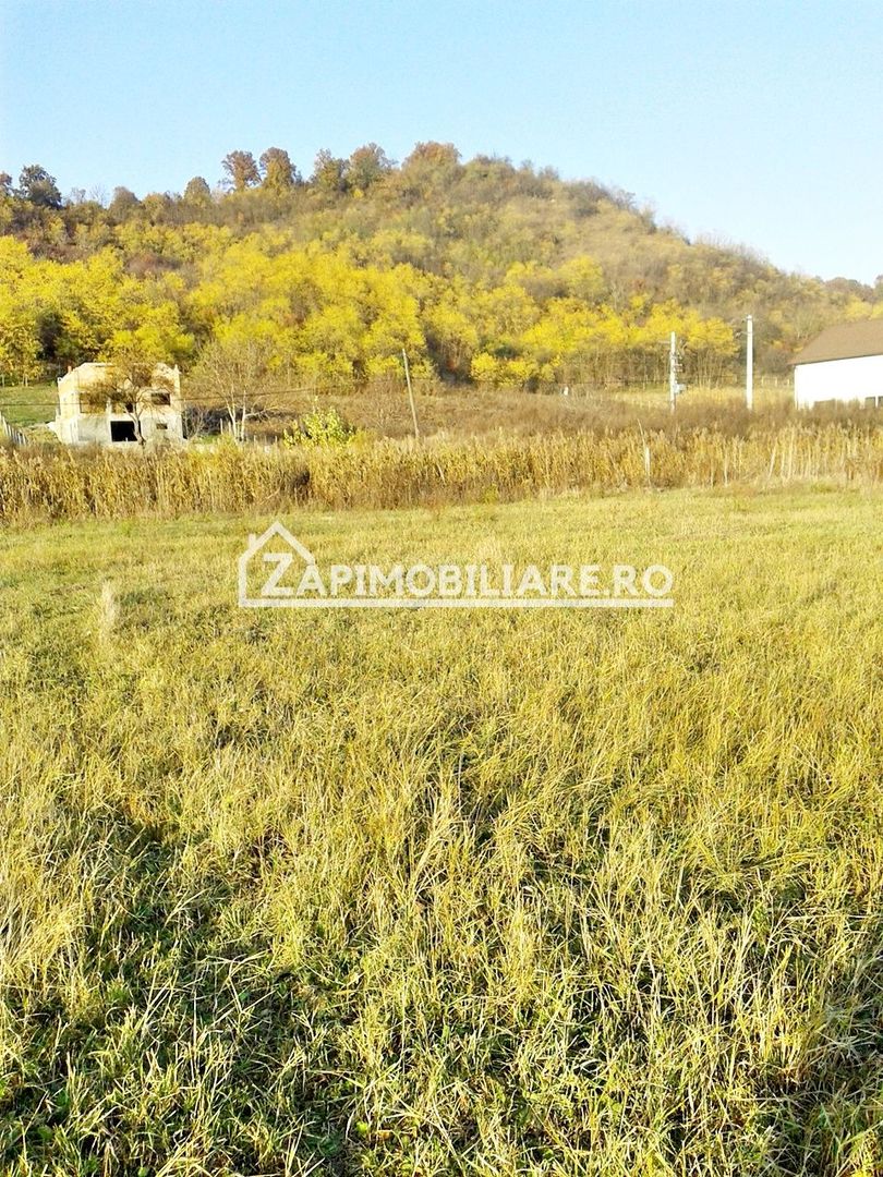 Teren 780 mp, Livezeni cu PUG aprobat recent,asfalt - Poză 11