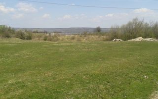 Vanzare teren intravilan, Bascov - Dobrogostea - Poză 8