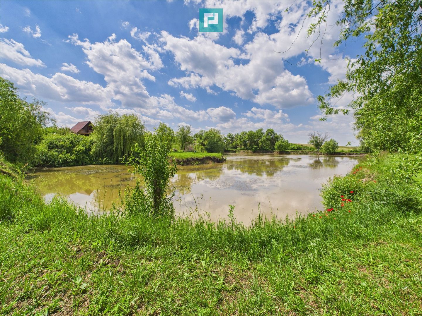 Teren cu baltă- oportunități multiple la Fibiș - Poză 32