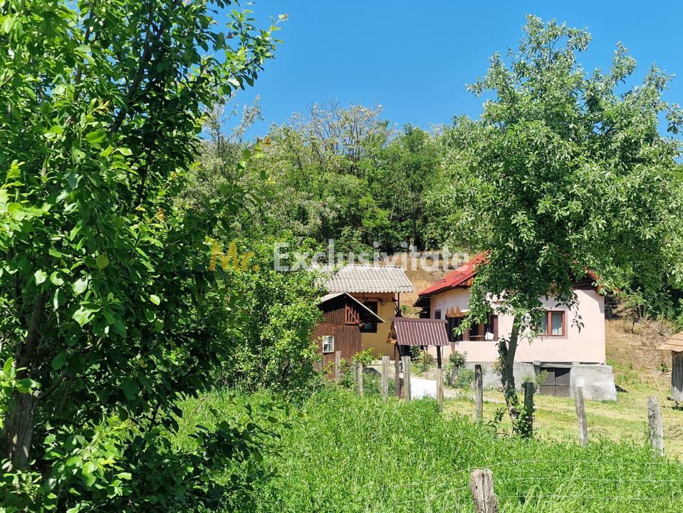 Proprietate în Comuna Botești, Județul Argeș – Zonă Pitorească și Liniștită ! - Poză 22