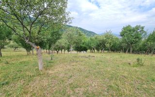 Teren de vânzare | Suprafață 10.040 mp | 2.500 € / ar | Strada Nucului - Poză 6