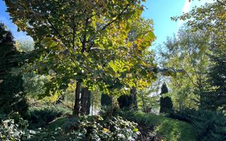 2 camere Laguna Residence - Poză 14