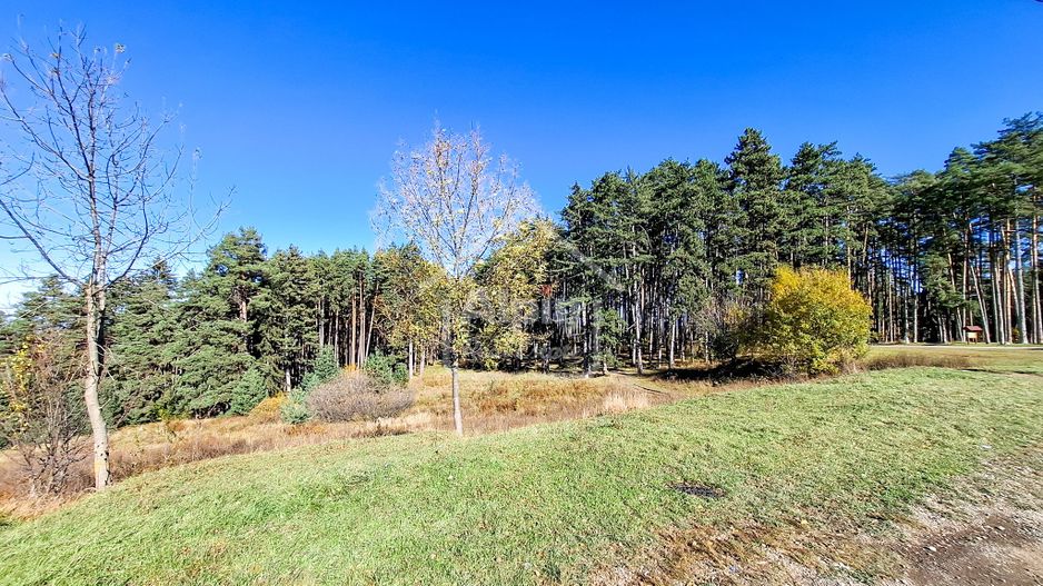 Teren Intavilan I Poiana Angelescu Sacele - Poză 16