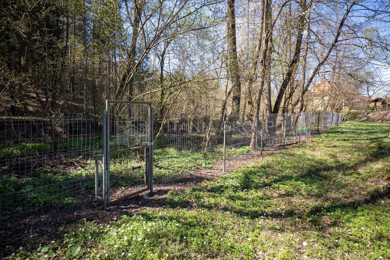 Teren intravilan, pretabil pentru casa de vacanta, 2000 mp - Poză 9