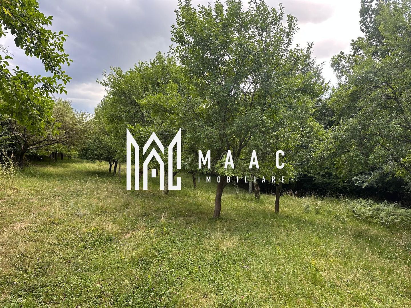 Teren extravilan 2000 mp | Rășinari | livadă, lângă Cisnădioara - Poză 3