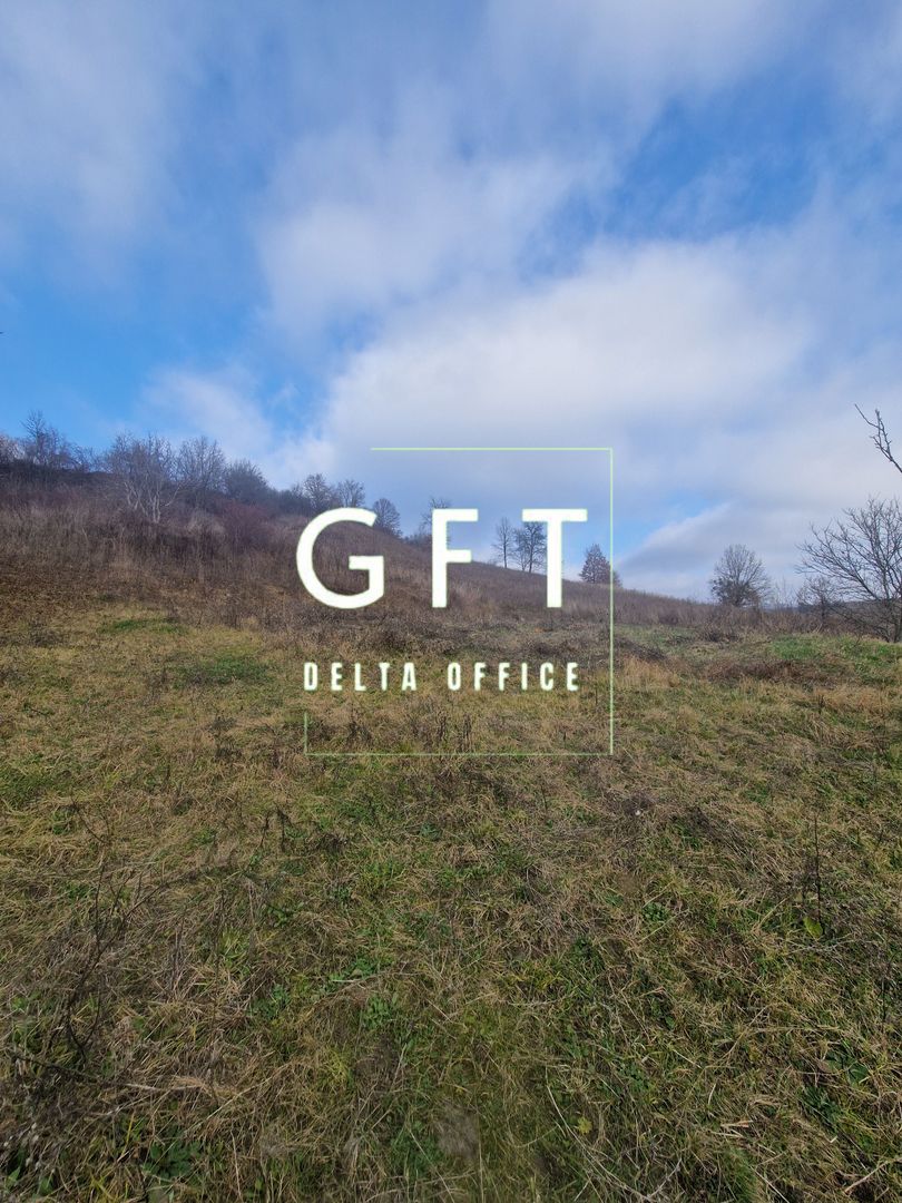 Teren intravilan | Livezile - Poză 6