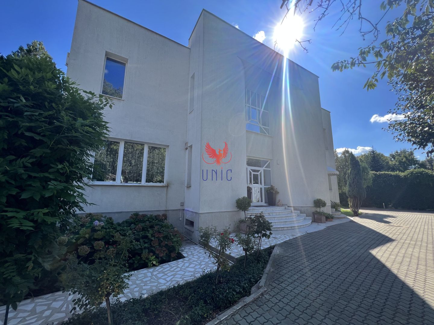 Vila Brazda lui Novac zona Paltinis - Poză 22