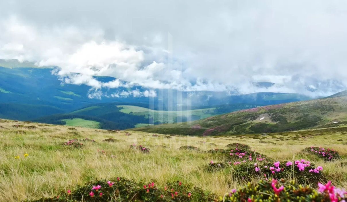 Teren INTRAVILAN 3.000mp | Păltiniș OPORTUNITATE - Poză 1