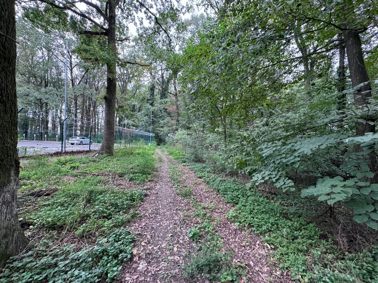 192842 mp teren in Padurea Baneasa proiect exclusivist - Poză 10