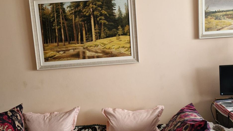 Apartament 2 camere, I.C.Frimu - Poză 6