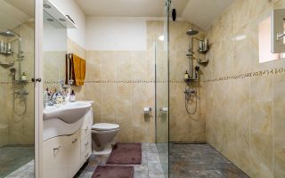 Casă modernă (2021) – Priveliște panoramică spre Lunca Mureșului - Poză 7