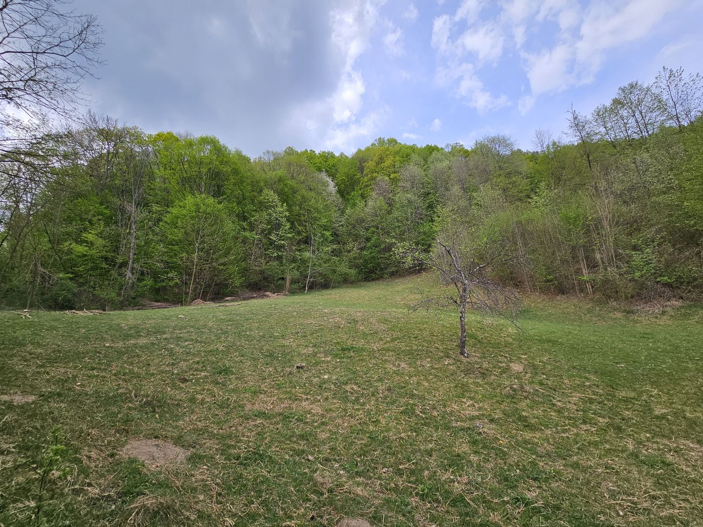 Teren intravilan 1454 mp la marginea padurii zona locuita de case! - Poză 1