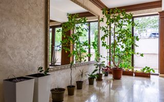 Vânzare, apartament, 2 camere, strada Ciocîrliei, Centru - Poză 36