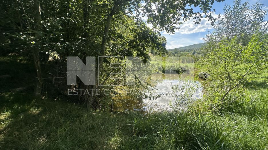 Teren 15 Ari | Cu Iaz & Terasat | Drumul Principal | 40.000 € - Poză 2