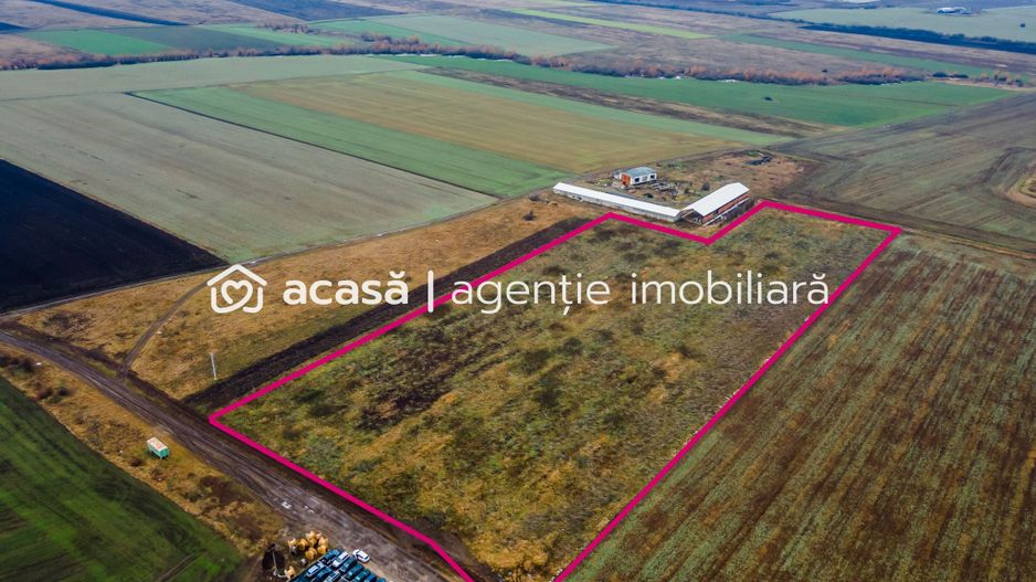 Teren 3.65h zonă industrială, Sânicolaul Mic. - Poză 7