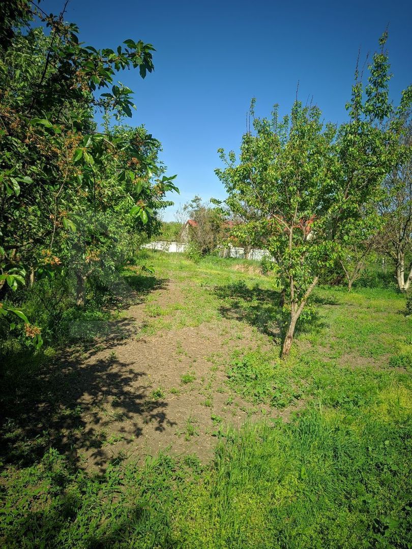 Vânzare, casă, com. Boșcana, r-nul Criuleni - Poză 5