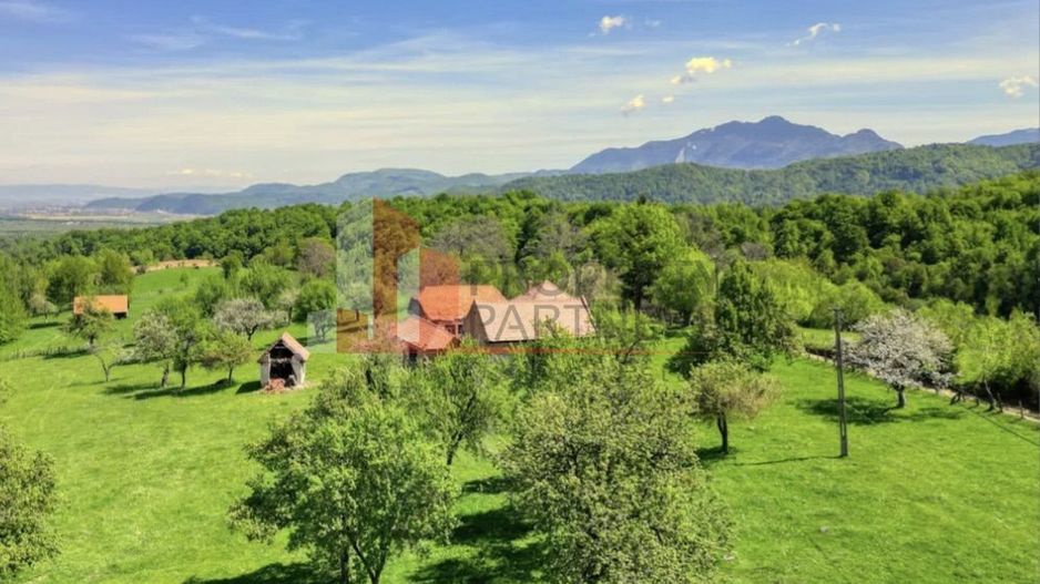 Teren 15.856 mp în Bran Sohodol | Ideal dezvoltare turistică - Poză 9