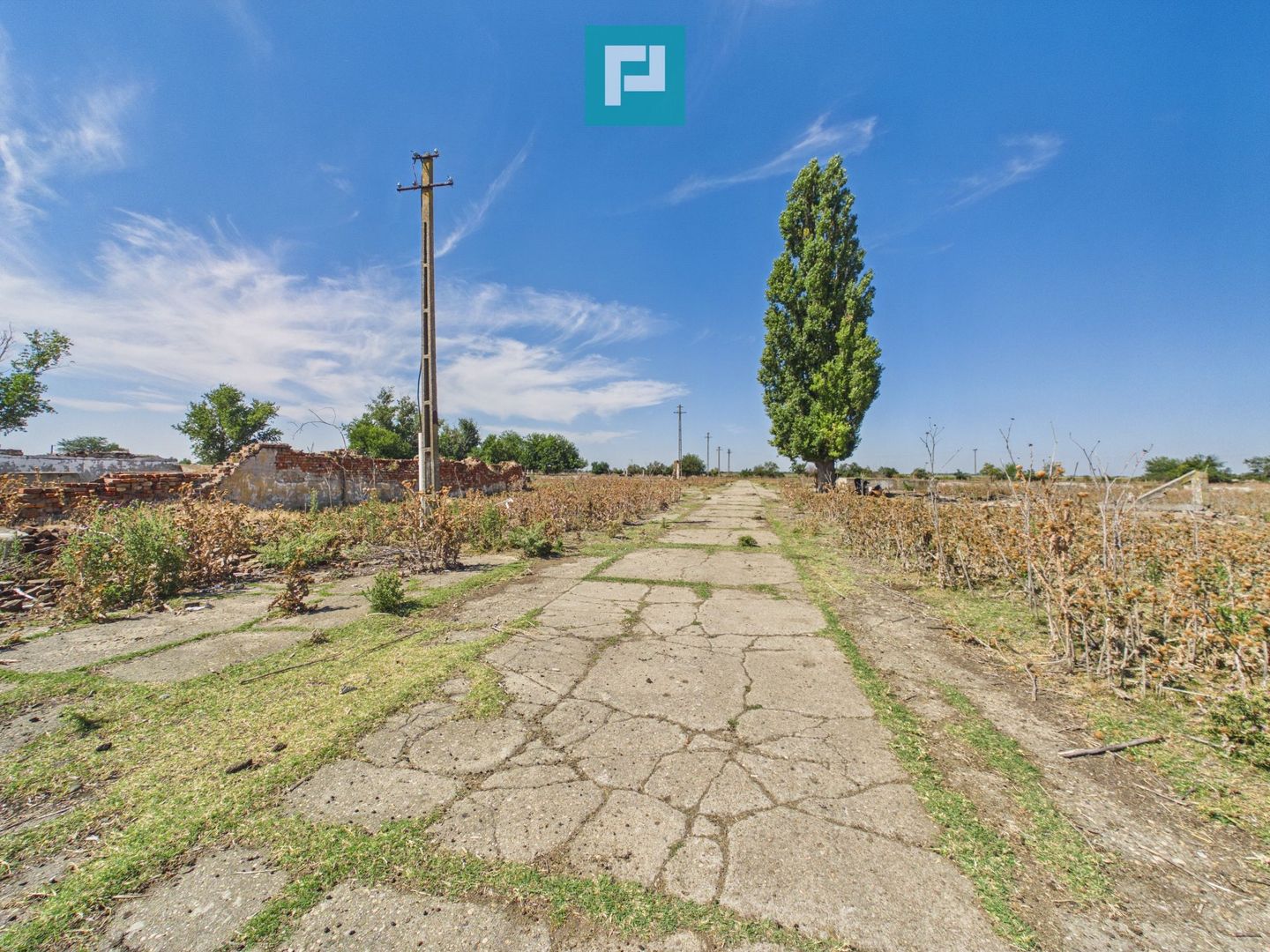 Teren intravilan 146.866 mp de vânzare | Jimbolia - Poză 14