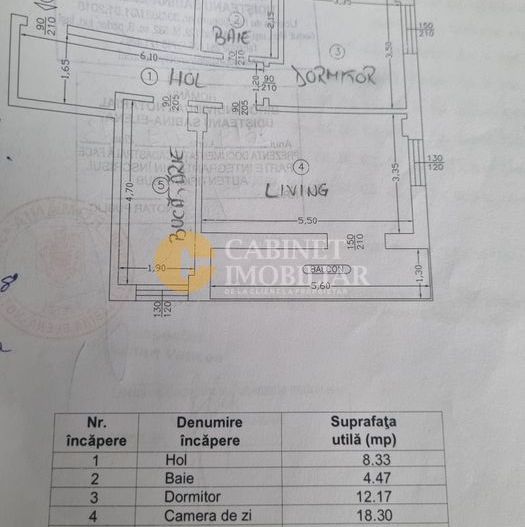 APARTAMENT DE VINZARE 2 CAMERE COPOU - Poză 6