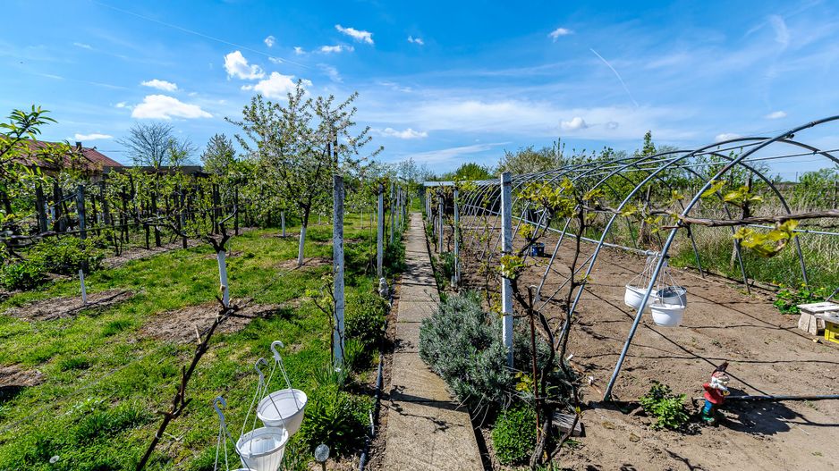 Proprietate vândută Casă spațioasă cu teren generos in Ghioroc - Poză 7