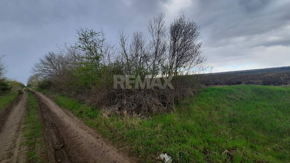 Teren agricol, Boșcana, 20 ari - Poză 1