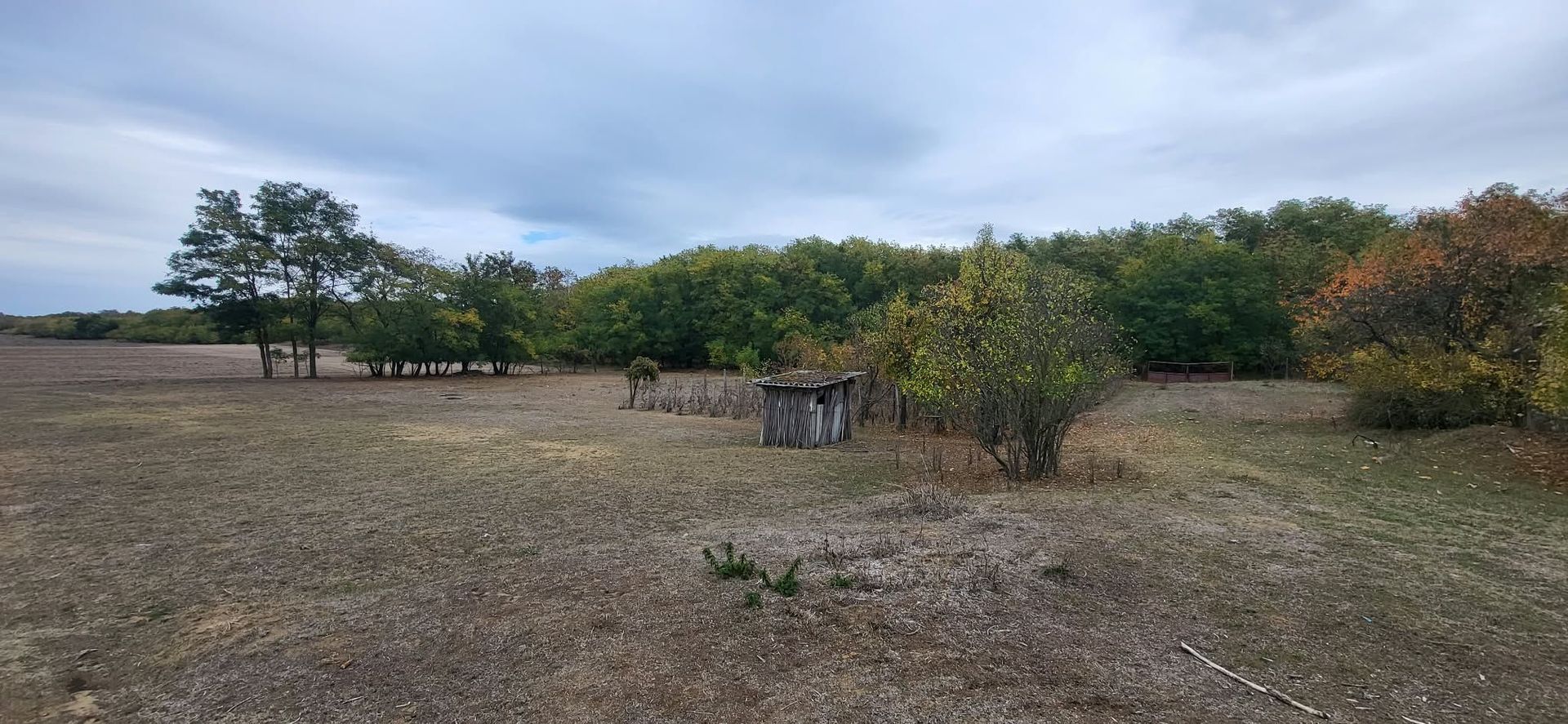 FERMA CU TEREN DE VANZRE - Poză 1