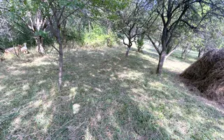 CASA 3 CAMERE TEREN 7770 MP BOTENI ARGEȘ - Poză 35