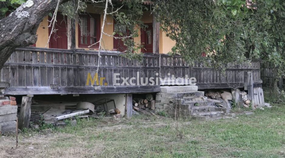 Casă cu 7.769 mp teren și pădure | Budieni | 53.000€ - Poză 5