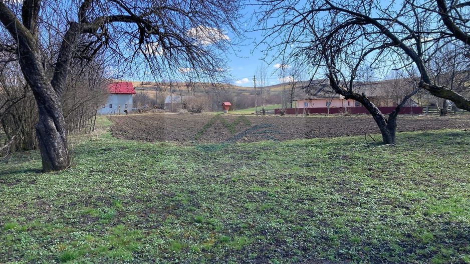 Teren Intravilan 3200 mp de vânzare - Poză 14