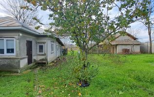 VANZARE CASA + TEREN 2000 MP | SAT MERI, COM. VEDEA | RENOVATA UTILITATI, ANEXE