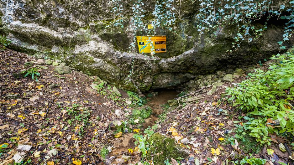 Domeniu în satul Căprioara - Poză 15