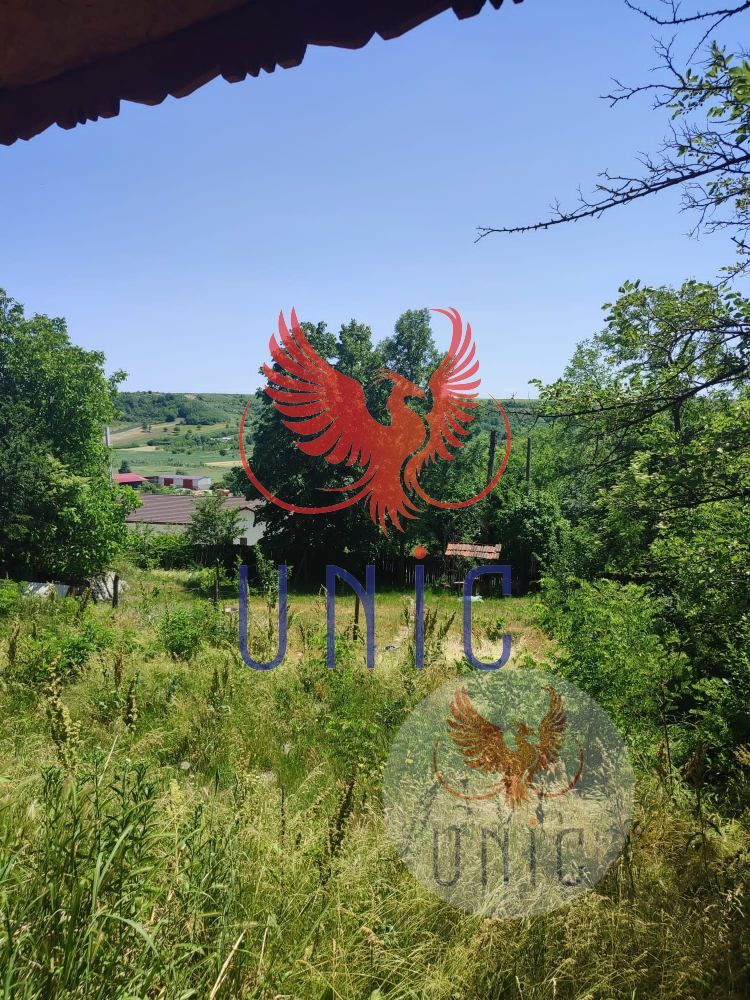 Teren intravilan Cernatesti - Poză 11