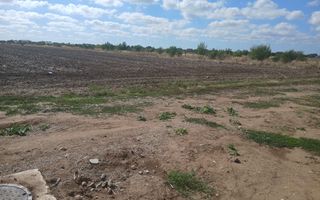 Teren de vanzare 4500mp Strada Rasaritului Darvari Ciorogarla A0 - Poză 3