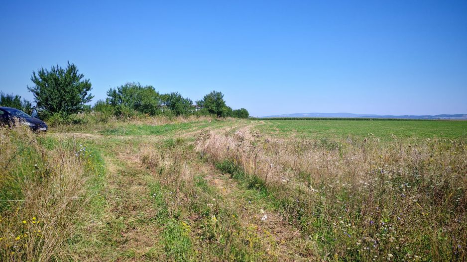 Teren intravilan,447 mp,SANPETRU iesirea spre BOD, utilitati. - Poză 4