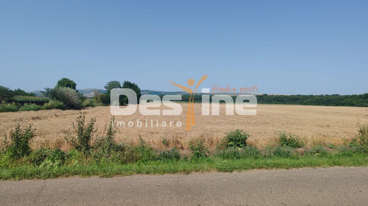 Teren extravilan Balteni, Vaslui, la limita intravilanului - Poză 1