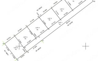 Teren intravilan 3600 mp Ciurbesti, Miroslava - ideal pentru proiect imobiliar, schimb posibil - Poză 1