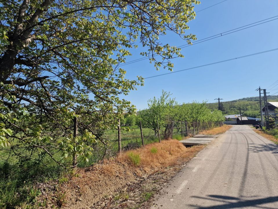 Teren Calinesti, Arges! - Poză 1