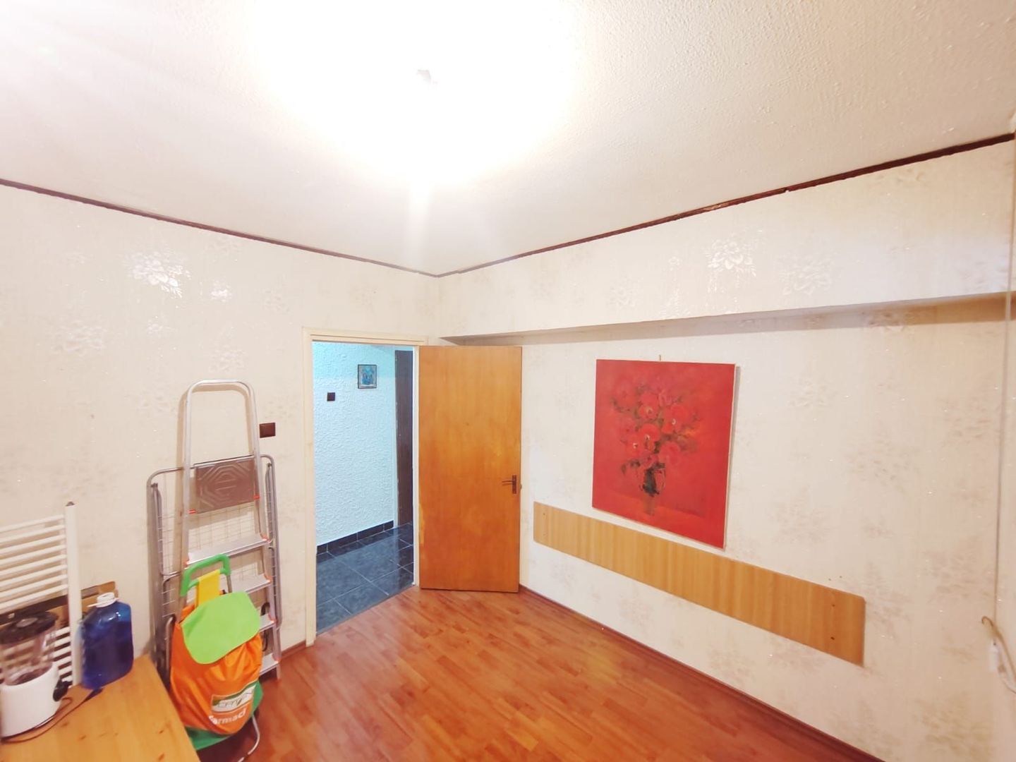 Domenii Ion Mihalache stradal super pret - Poză 8