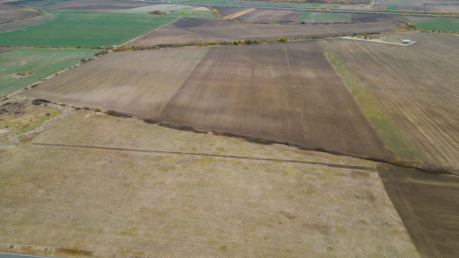 Teren 22.500 mp – Pecica, jud. Arad - Poză 3