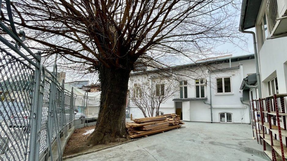 Casa D+P+1 cu curte 100mp, incadrare birouri, zona Eminescu - Poză 1