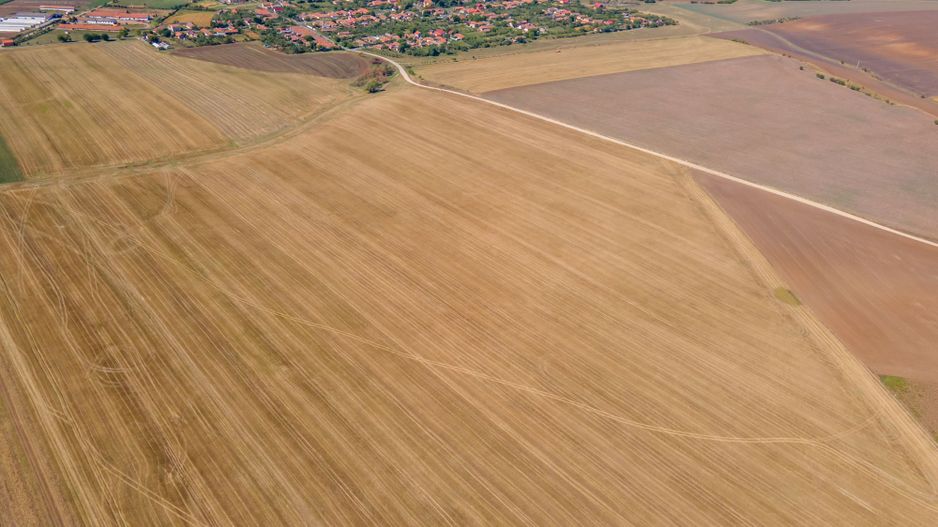 Teren 35172 mp în Cruceni - Poză 8