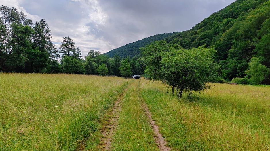 2,8 Ha Teren Extravilan cu Pârâu - Negreni, Cluj - Poză 2