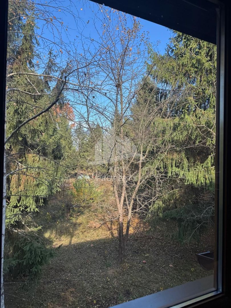 Pensiune/ Vila Valea Avrigului - Poză 18