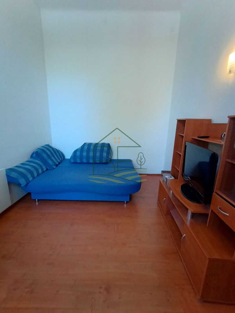 Apartament cu 2 camere, 80 mp, pet friendly situat pe Bd. Victoriei - Poză 3