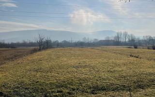 Teren 2754 mp-pretabil agricultura-Livezile - Poză 3