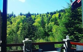 Pensiune superba Sinaia - Poză 8