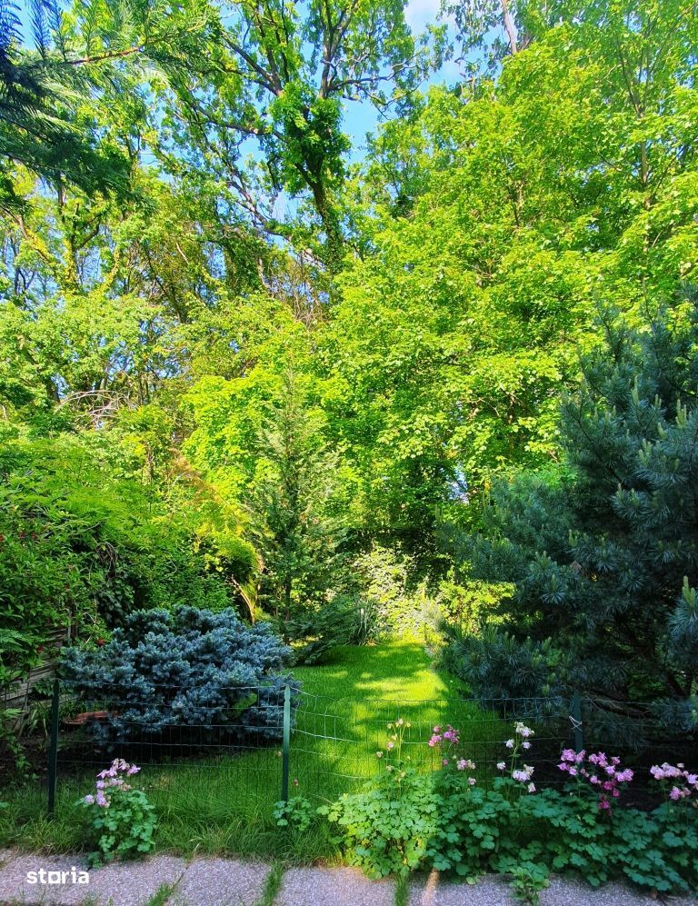 Vila P+1 Liceul Francez/Academia de Politie - Poză 16