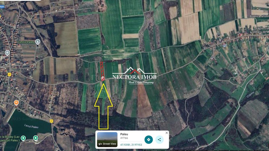 NECTORA IMOB-Teren Saldabagiu de Munte, aproape de Lac Paleu, 2880mp - Poză 1