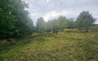 🏞️ Teren intravilan, cu priveliște – Vălenii de Munte - Poză 7